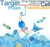 Advances In Drug Target Identification: Methodologies And Applications ...